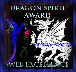 Dragon Spirit Award